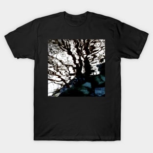 Reflections, Port Fairy T-Shirt